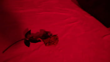 Sexy Tattooed Alt Babe Takes Massive Black Dick