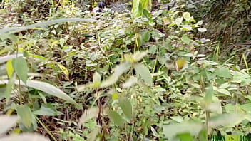 Wild Night With A Mysterious Bush Encounter